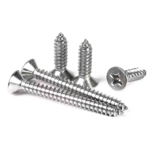 Countersunk Philip Screw